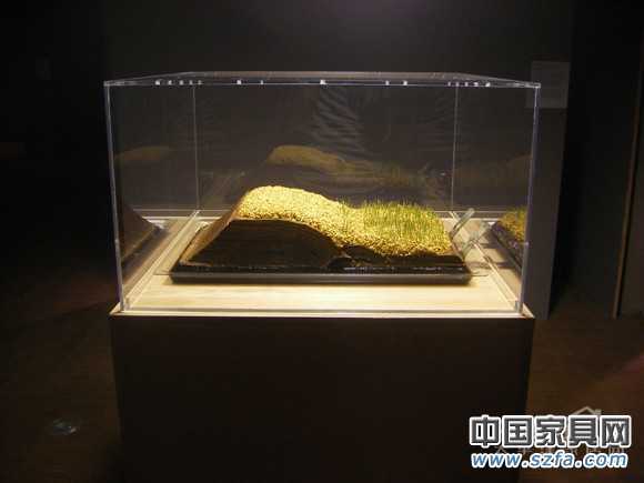 2011年米蘭國際燈飾展系列活動之：《重造米蘭神圣的小樹林》